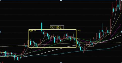 茅台价格最新动态深度解析，2023年市场趋势观察