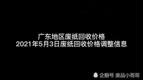 广东废纸最新行情分析，今日市场动态解读