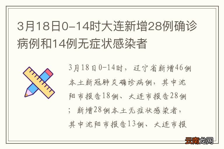 大连疫情最新病例情况及应对措施分析概述