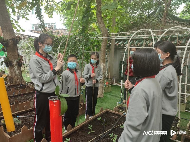 广州美食之都的煮饭师招聘热潮，探寻最新厨艺岗位信息