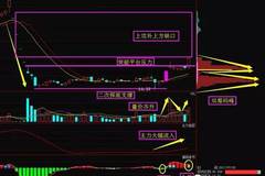 最新股票黑马深度解析及投资策略探讨