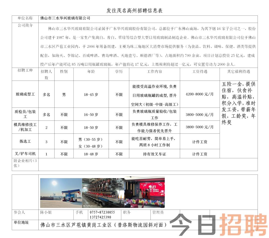 高港最新招聘信息全面解析