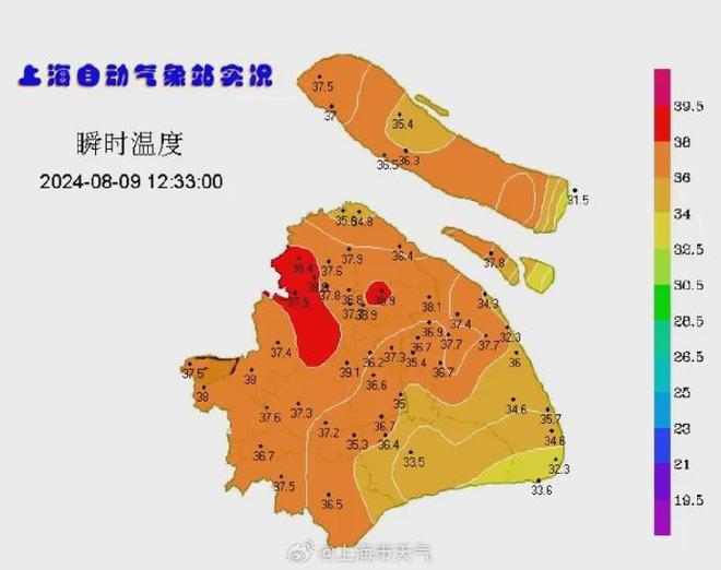 上海冷空气最新动态，深度分析及其影响预测