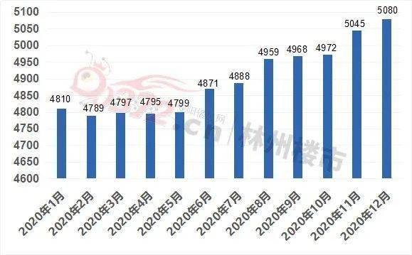 林州最新房价动态与趋势分析报告