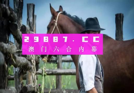 澳门今晚一肖一码，详细解答解释落实_lfm42.05.23