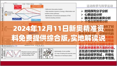 2025年1月15日 第65页