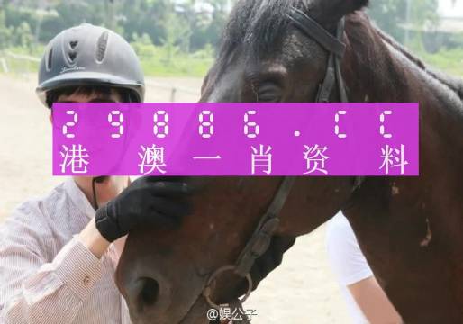 澳门必中一肖一码，前沿解答解释落实_jen46.25.89