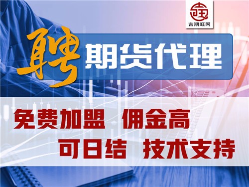 探索国外最新免费代理，概念、应用及未来趋势展望