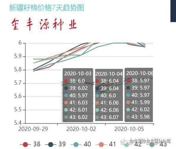 最新棉油价格动态及其对全球市场的冲击影响