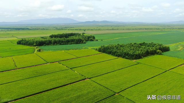 农村最新土地政策重塑乡村基石新篇章