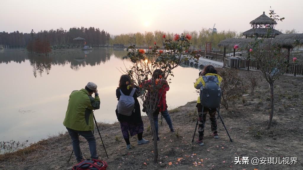 仙桃未来城市繁荣活力规划图曝光，展望城市新篇章