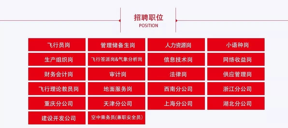 国航新星人才探寻，最新招聘动态揭秘