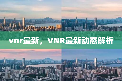 VNR最新版下载，全新功能与体验探索